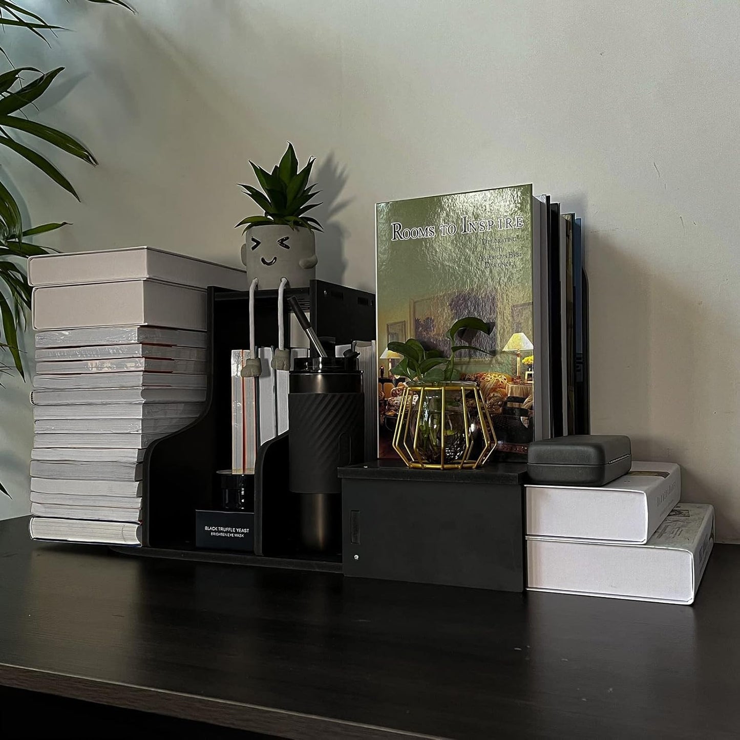 DoToGo Desk Shelf Organizer, Deskop Bookshelf for Small Space Adjustable Expendable for Office, Home, Kitchen (black-wanqu-lk)