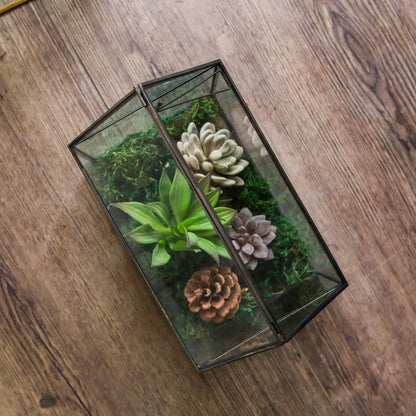 WONSUN House Shape Close Glass Geometric Terrarium - Tabletop Succulent & Air Plant, Flower Pot - Moss Fern Reptile Terrarium Black