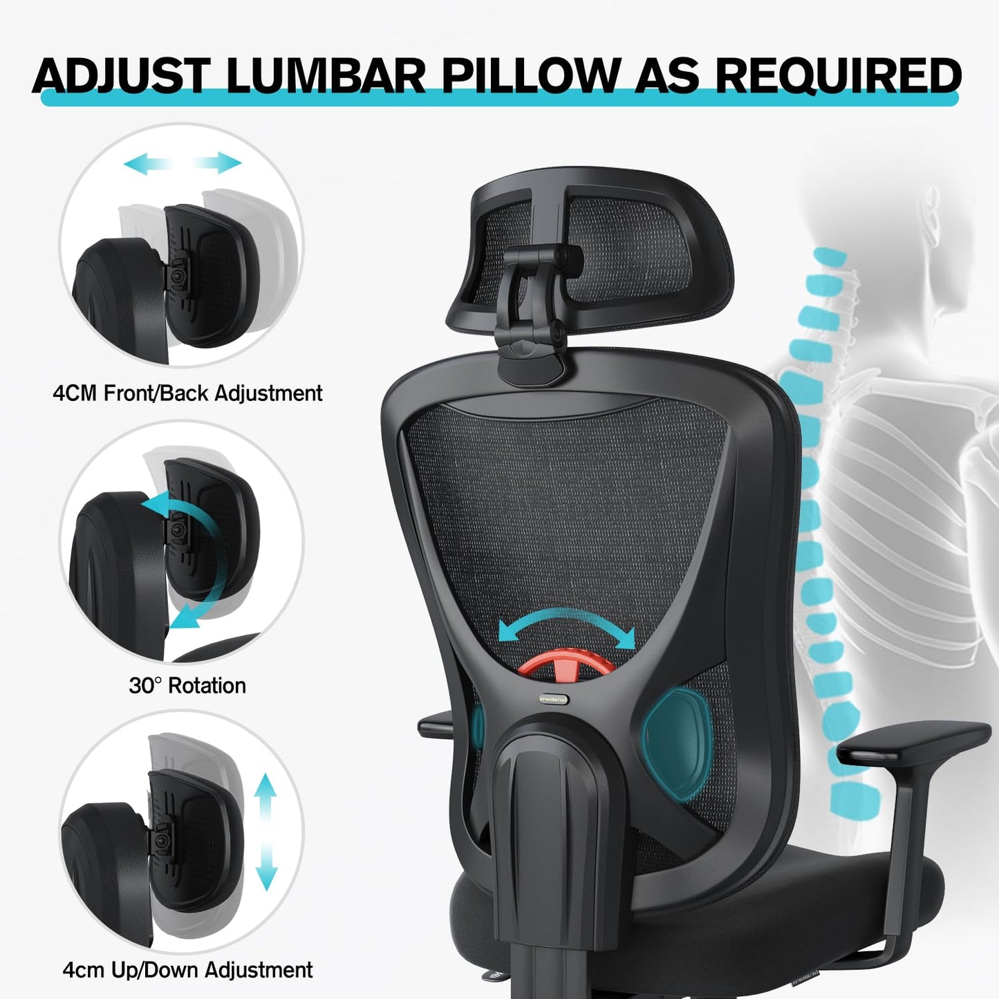 Eucladoceros Ergonomic Office Chair - Lift Up Mesh Backrest, 330lbs, Black