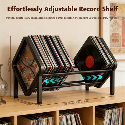 Expandable Vinyl Record Storage Rack, Holds 40-60 LPs, Easy Assembly