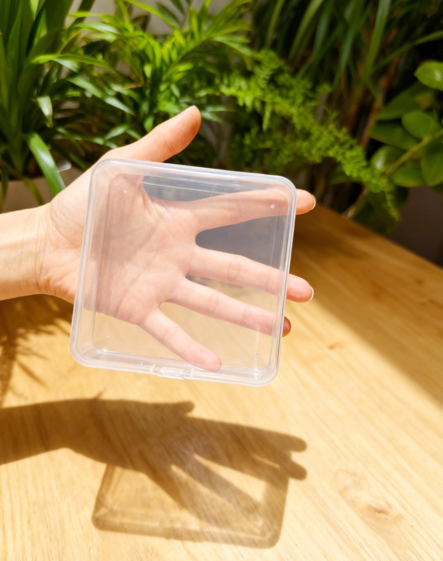 LJY 24 Pack Plastic Storage Boxes with Lids 12.5 x 12.5 x 3.5 cm, Clear