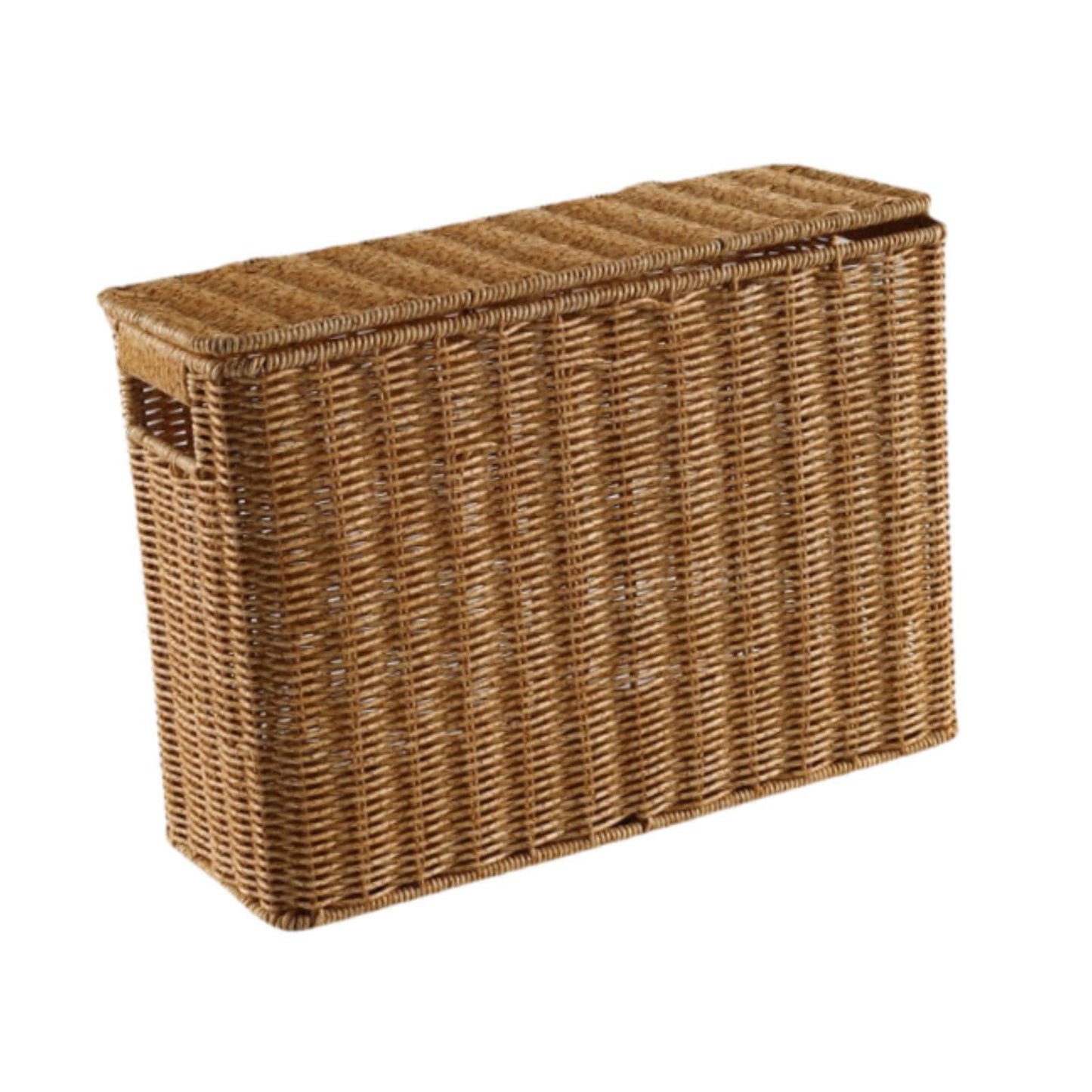 HGZLQKD Narrow and Tall Storage Box, Woven Magazine Holder with Lid Portable Narrow Basket Bin, Narrow File Holder for Bathroom, L