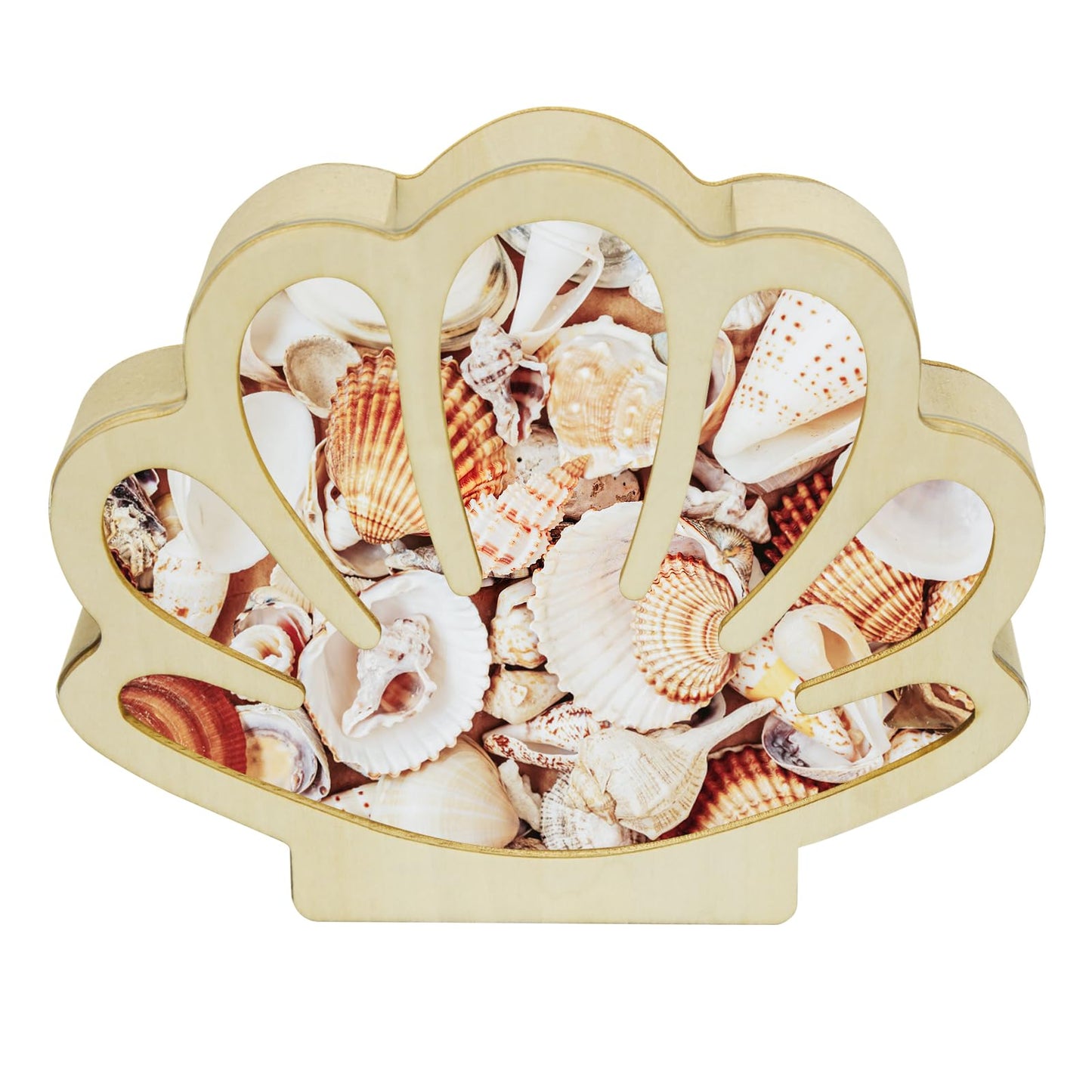HINGTAI Sea Shell Holder Wooden Seashell Display Case Handmade Small Shadow Box Home Decoration with Clear Acrylic Panel Coastal Decor Bedroom Decor