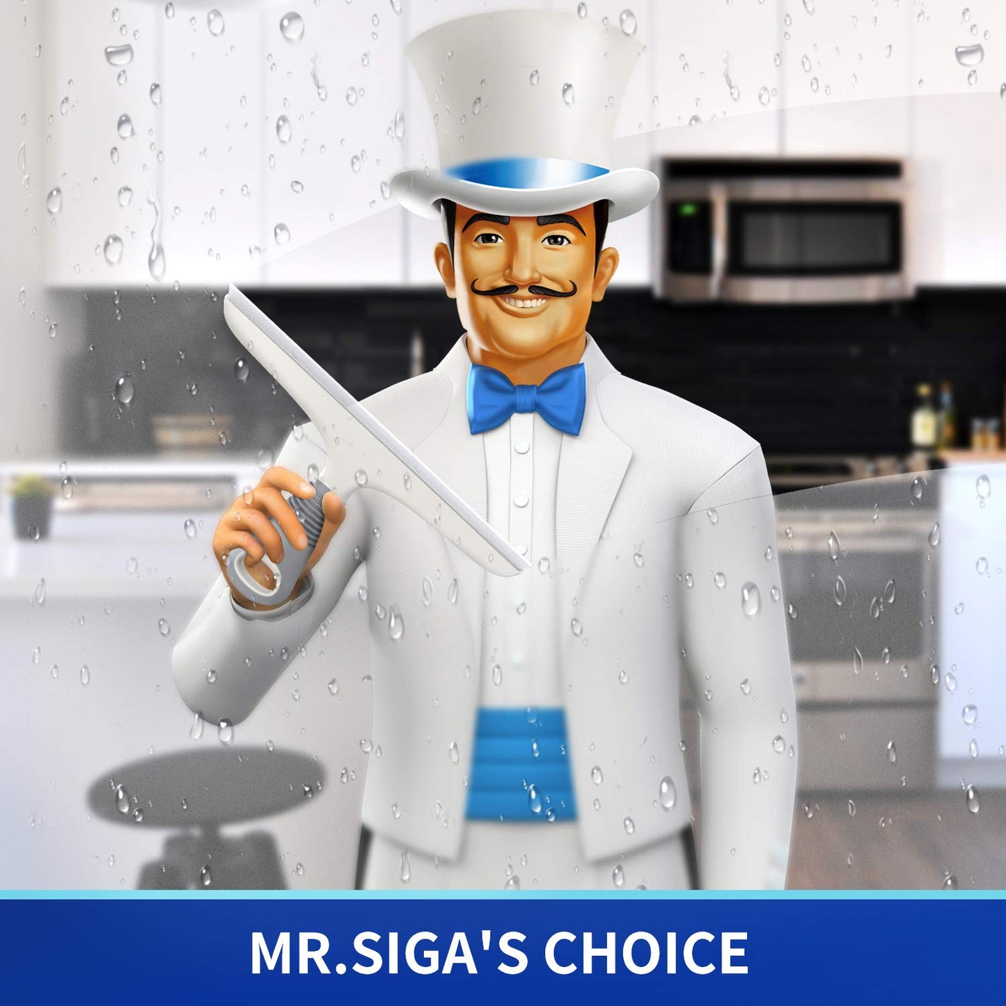 MR.SIGA Silicone Squeegee for Shower Doors, 25 cm/10 inch, White & grey