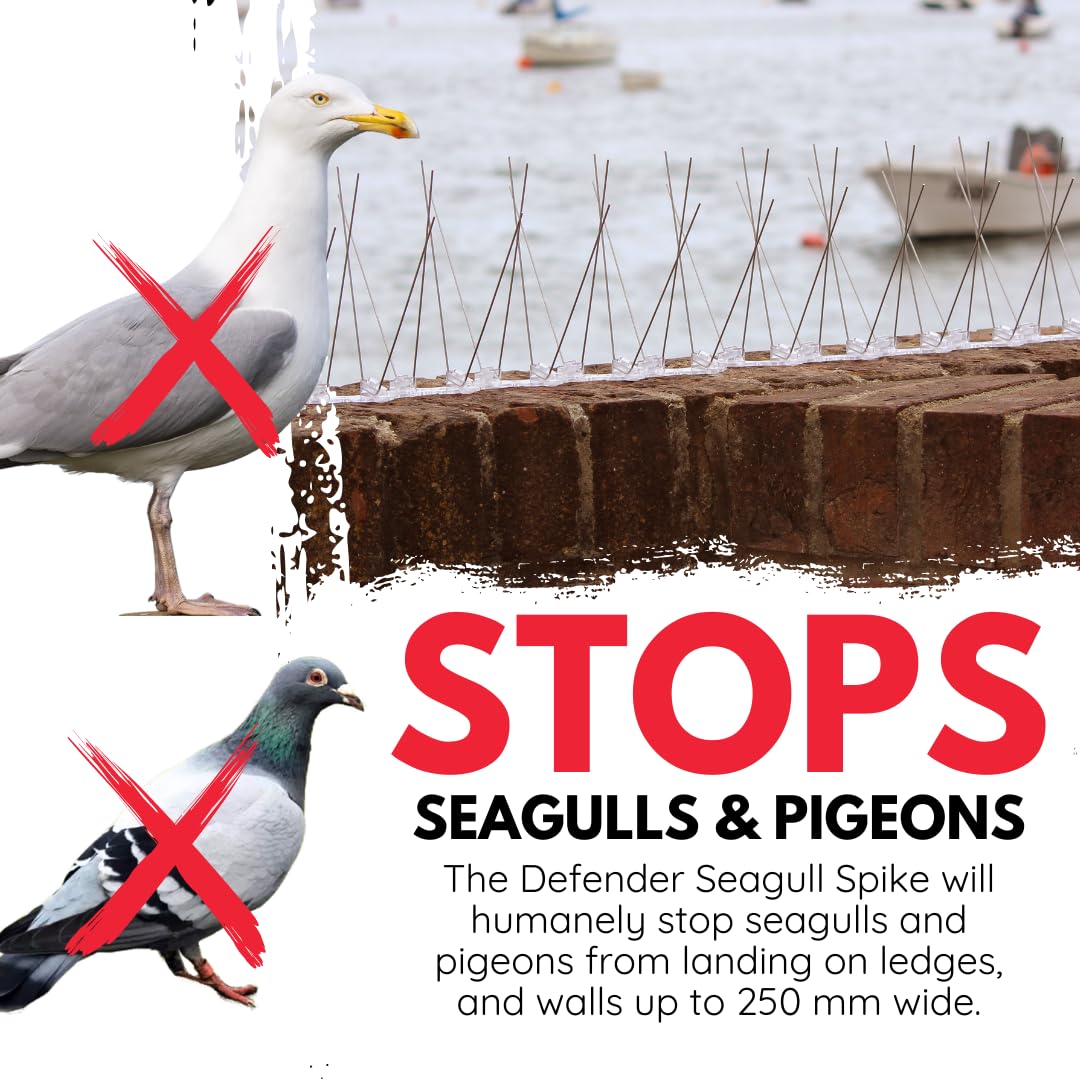 Defender Bird Spikes | Seagull Deterrent Kit | Install Guide & Glue | 3 Metre
