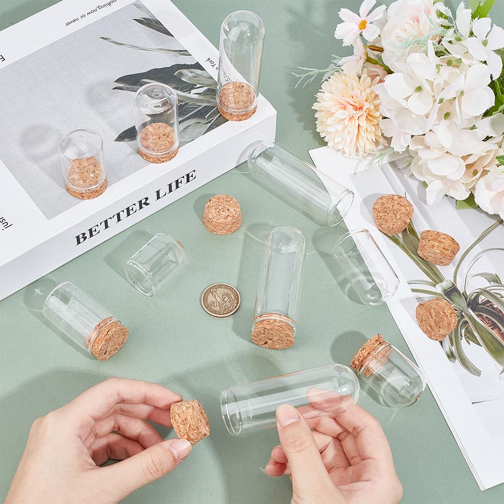 BENECREAT 24Pcs 3 Size Small Glass Display Dome Cloche, Glass Display Dome with Cork Base