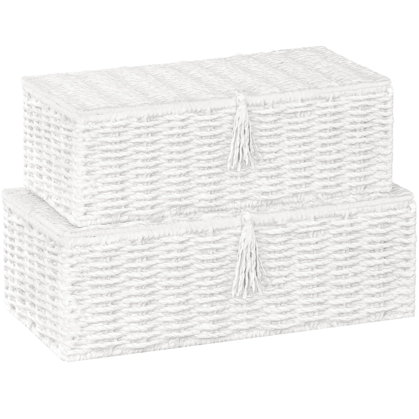 Vagusicc Storage Boxes with Lids, Handwoven Set of 2 Wicker Storage Baskets for Organizing, Nesting Storage Basket for Shelves