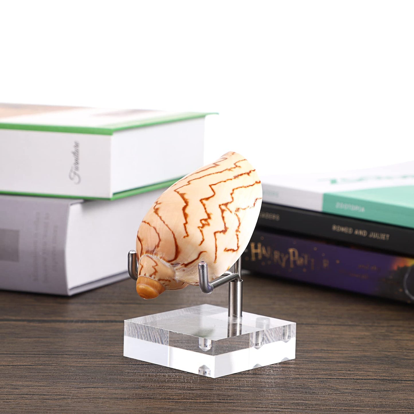 BTSKY Small Size Adjustable Silver Metal Arm Display Stand with Square Base