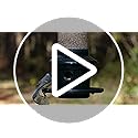 Jacobi Jayne 1024-V01 Feeder Buster Plus-Marauders Off Guaranteed Squirrel and Large Bird Proof/Metal, Green