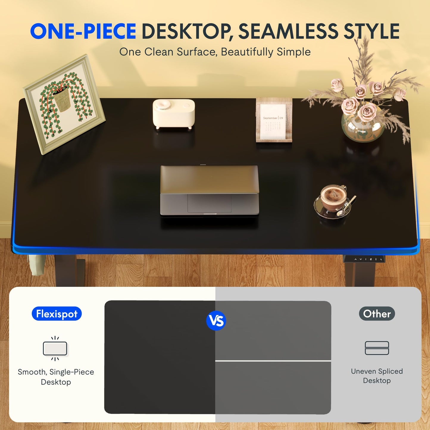 FLEXISPOT E1 Plus Electric Standing Desk ONE PIECE Height Adjustable Sit Stand Desk with Memory Smart Panel (120 * 60cm, Black Frame+Black Desktop)