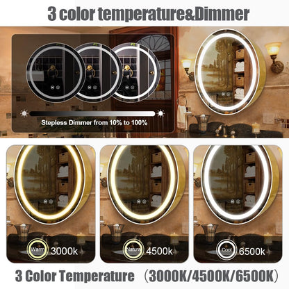 Janboe 71cm Round Mirror Cabinet with Lights,with Defogger,Dimmable,Anti-Fog,3 Colors,Gold