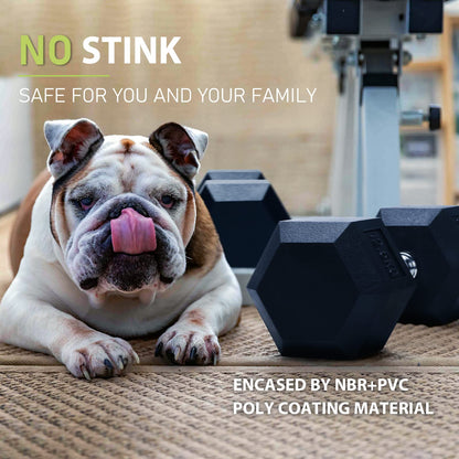 PhysKcal Hex Dumbbells 15kg Single, Odourless Poly Rubber Encased Dumbbells Set 2.5KG 5KG 7.5KG 10KG 12.5KG 15KG 20KG Home Gym Weights Set