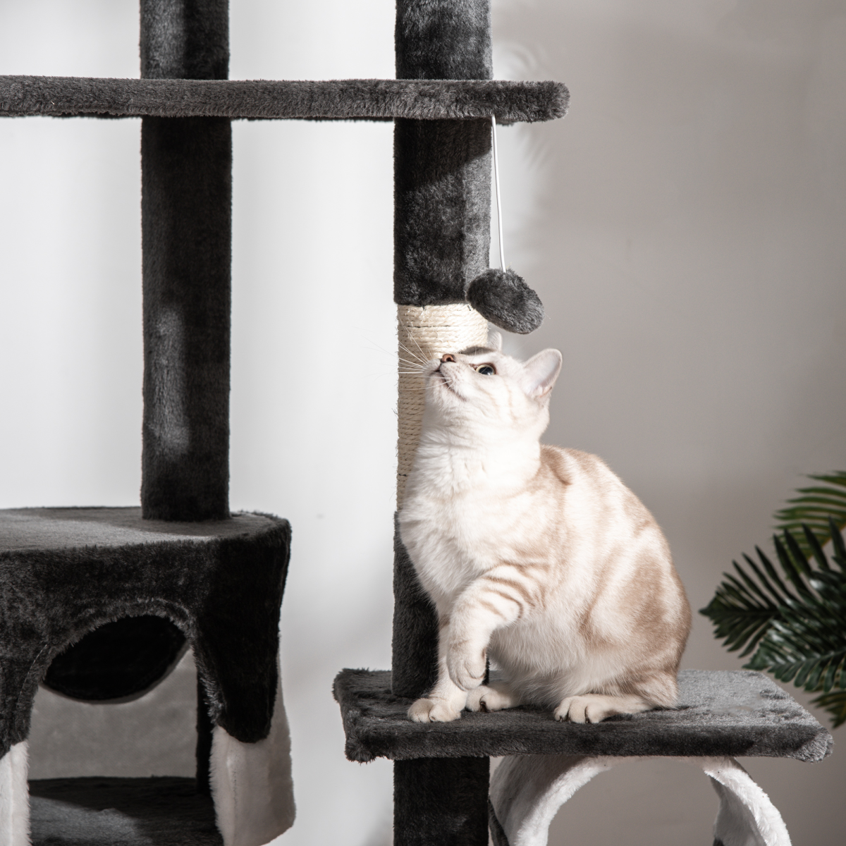 Large Cat Tree Scratching Post Condo Pet House Kitty Play Tunnel Toy 240 - 260H