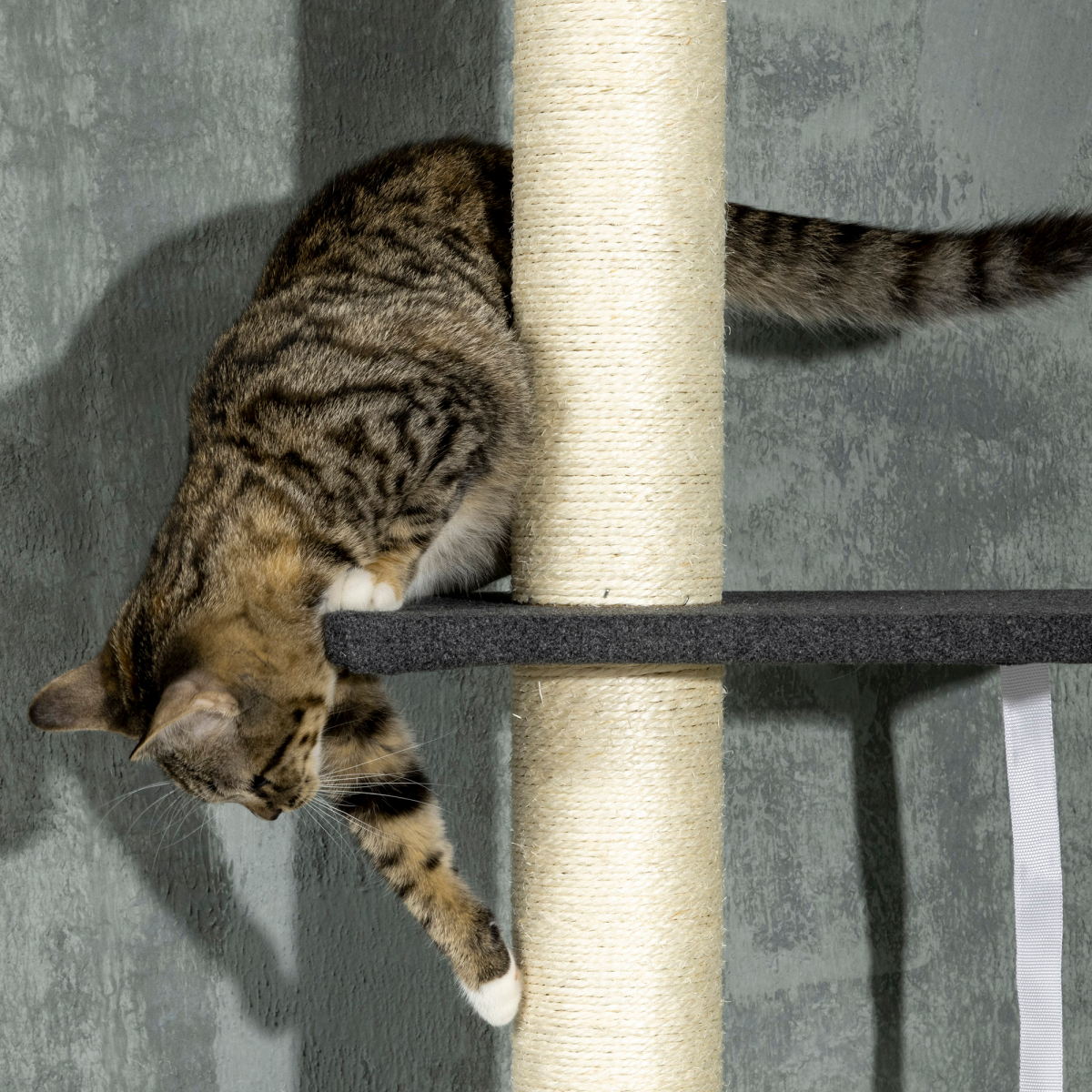 PawHut Floor-To-Ceiling Cat Tree, Height Adjustable, Black