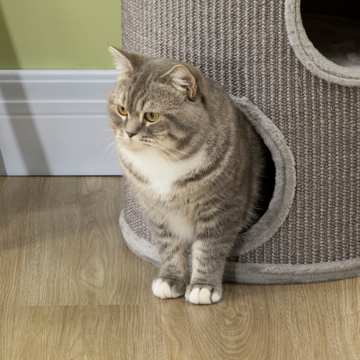 Cat Barrel Kitten Tree Tower for Indoor Cats, Covered with Sisal, Cosy Platform