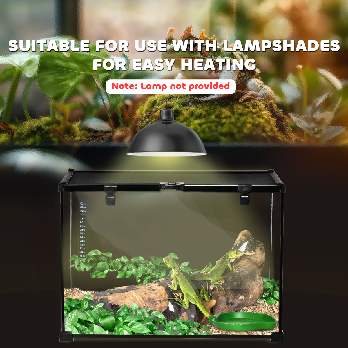 50 x 30 x 35 cm Reptile Terrarium for Lizards, Horned Frogs, Snakes, Black