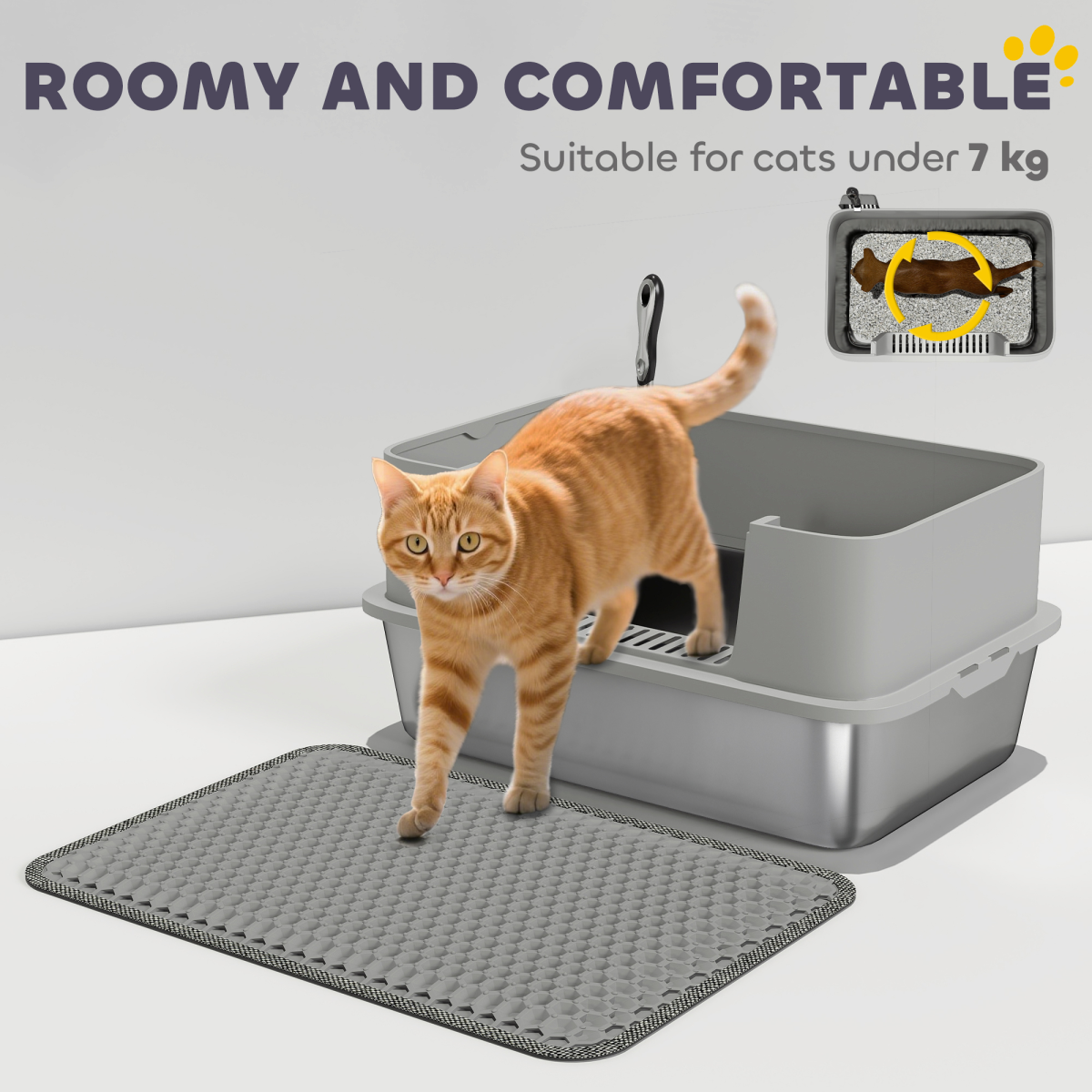 Cat Litter Box
