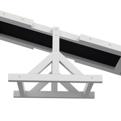 PawHut Wooden Pet Seesaw for Big Dogs with Anti-Slip Surface, White