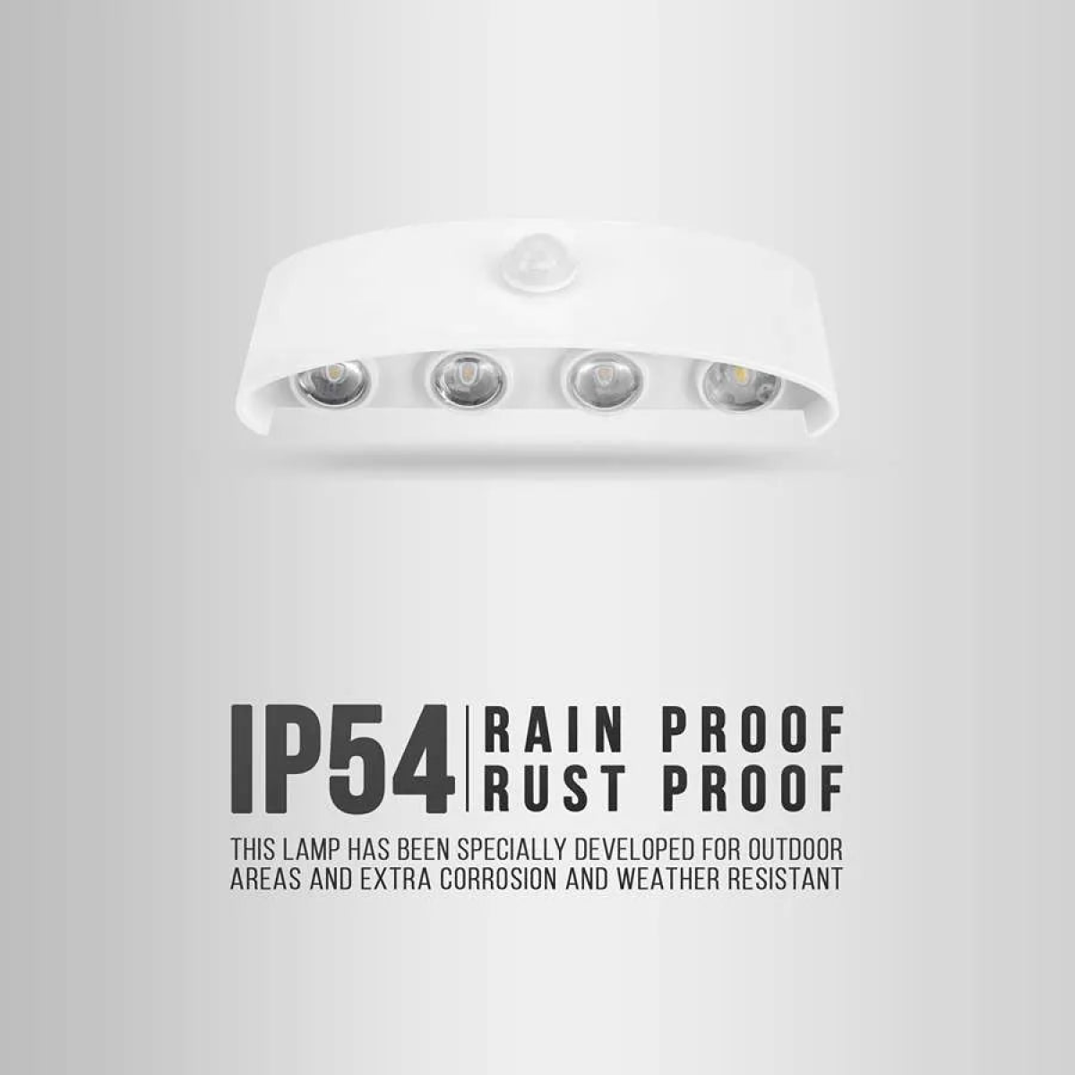 LED Wall Lights Indoor /Outdoor Up and Down~4503