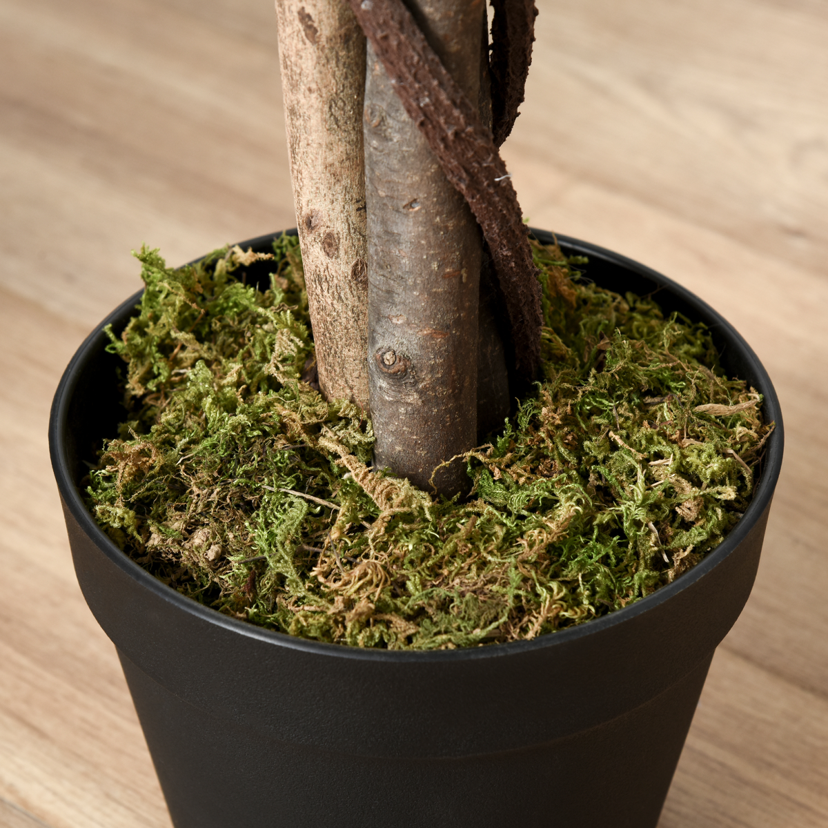 Artificial Ficus Silk Tree with Nursery Pot, Decorative Fake Plant, 160cm