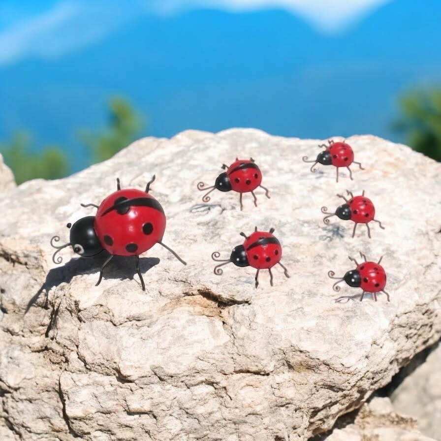 AcaciaHome Durable & Stylish Metal Ladybird Garden Decor Set of 6, Durable Weatherproof Hanging Wall Art, Rust-Resistant Glossy Red Ladybird Sculptures for Fence, Porch, Balcony & Patio