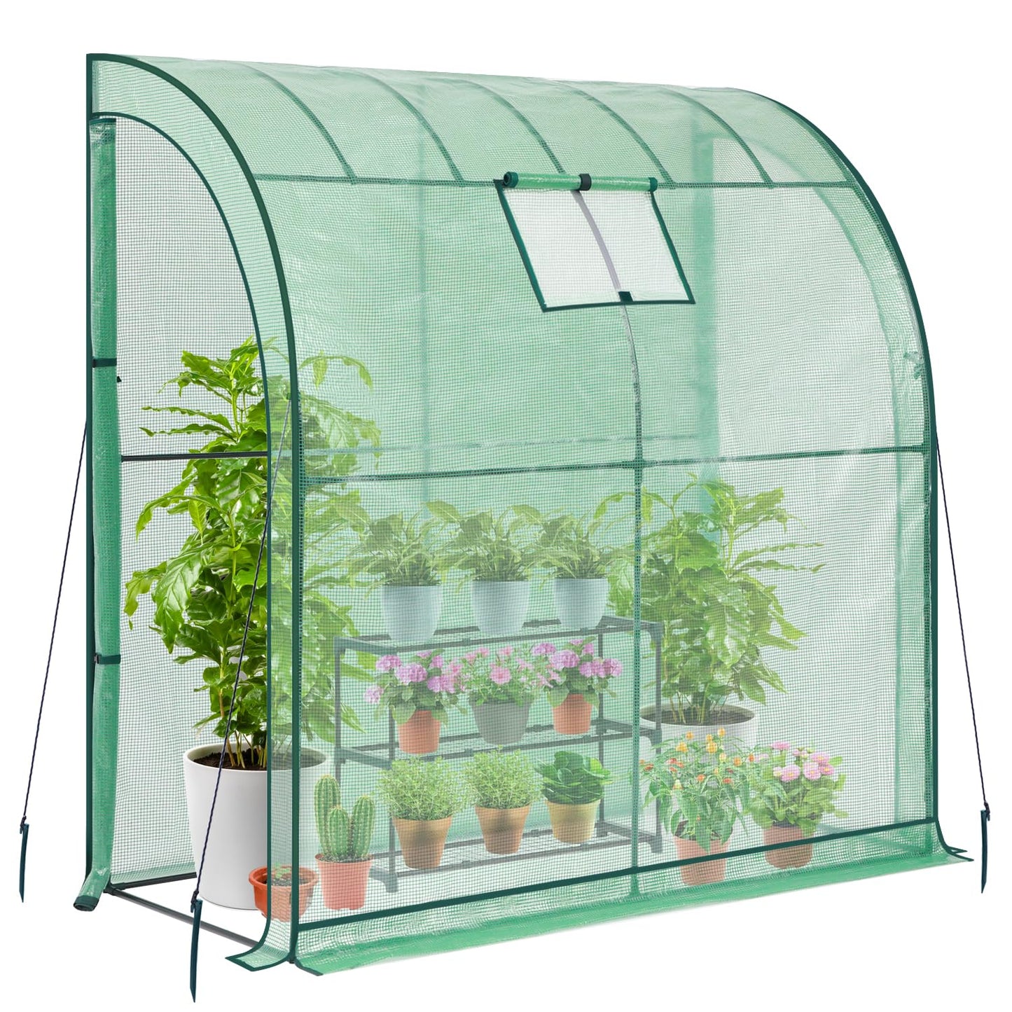 Ohuhu Lean to Greenhouse with Greenhouse Shelving, Portable Walk-in Green House with Mesh Windows 200x100x210 cm Reinforced Lean-to Wall Greenhouses