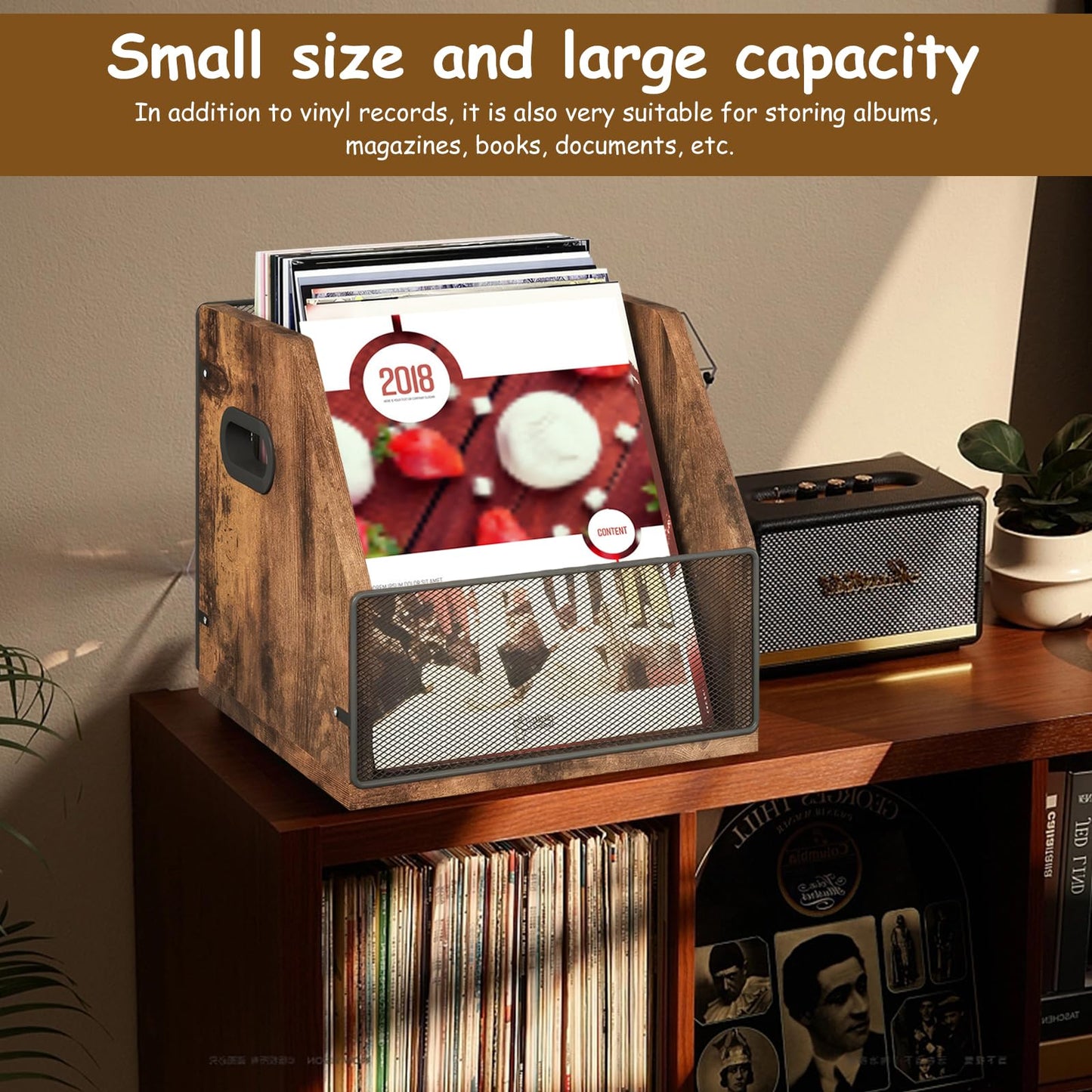 Bryzal Vinyl Record Storage Holder Wood Holds up to 60 Records with Handle