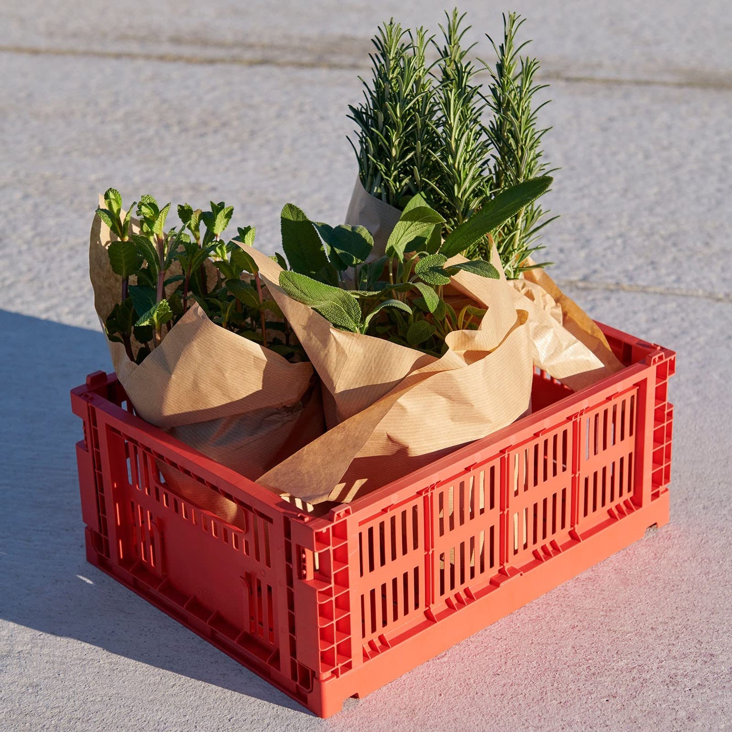 HAY Colour Crate 541462 Transport Box M Recycled Polypropylene Red Dimensions: 34.5 cm x 26.5 cm x 14 cm