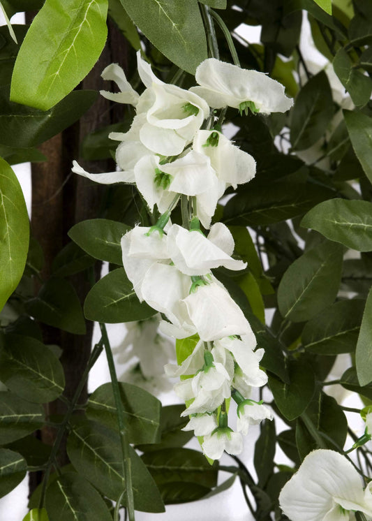 GreenBrokers Premium Artificial Wisteria Tree 130cm/4ft Potted Plant, White 4ft, 130cm