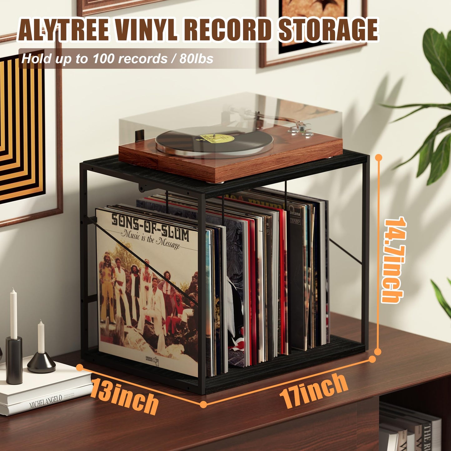 Alytree Vinyl Record Storage Holder for 80-100LPs, Vinyl Record Stand Wall Mount with Movable Divider