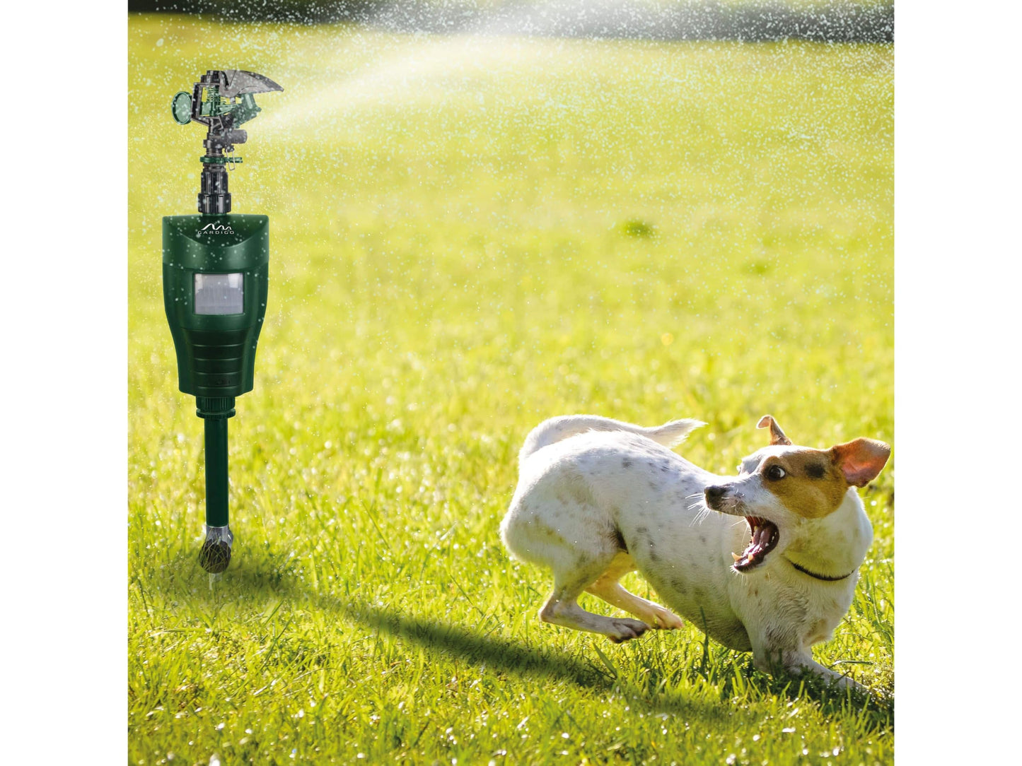 GARDIGO? Water Jet Animal Repellent | Bird Repellent, Heron Repellent, Cat Repellent Garden | Motion Activated Sprinkler | Up to 10m Range | Pigeon