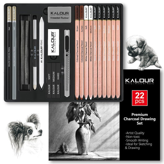 KALOUR PDAS 22pcs Charcoal Drawing Set, Professional Art Supplies, Black & White Charcoal Pencils for Drawing, Sketching, Shading, Blending, Artist