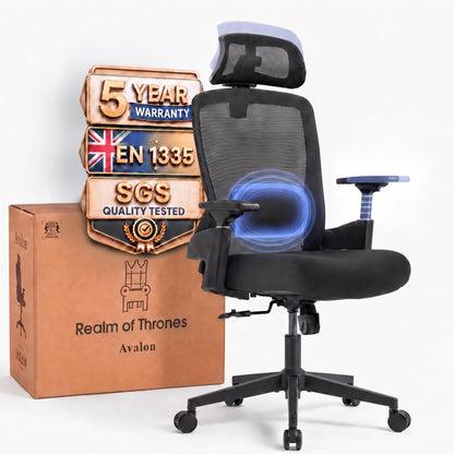 Realm of Thrones Ergonomic Office Chair, 3D Armrests and 2D Lumbar Support