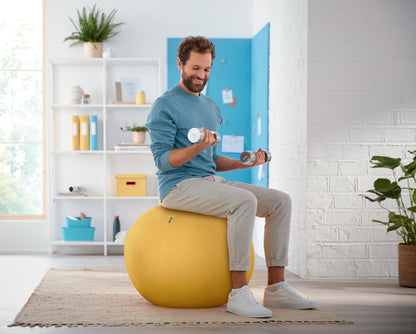 Leitz Active Sitting Ball, Ergonomically Designed Desk Chair Alternative, 65cm Diameter, Includes 100% Fabric Ball Cover, Inner Ball, Hand Air Pump &