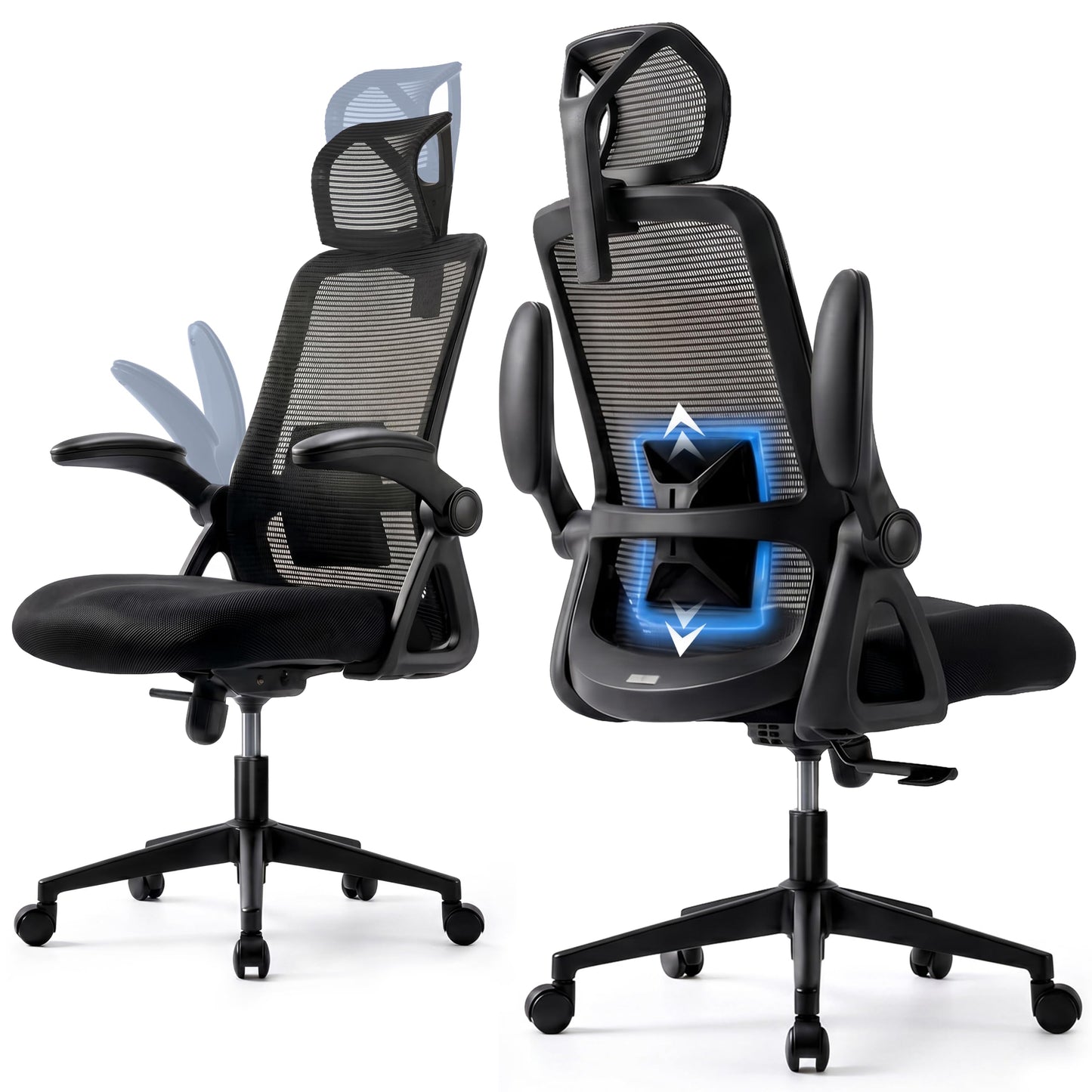 Realm of Thrones Mesh Ergonomic Office Chair, Back Support and Long Hours