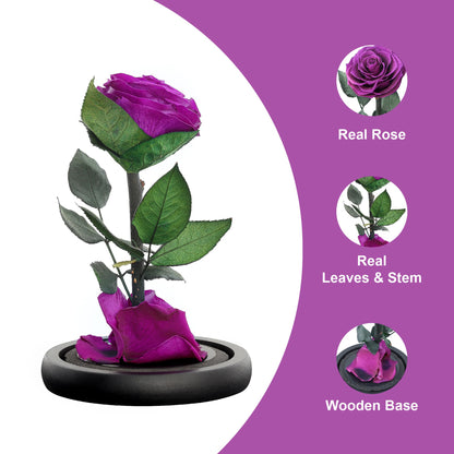 Eternal Forever Rose | Fresh Rose Gift | Single Rose Preserved for 5 Years | Handcrafted | Gifts for Women Birthday unique Unusual | Mothers Day,
