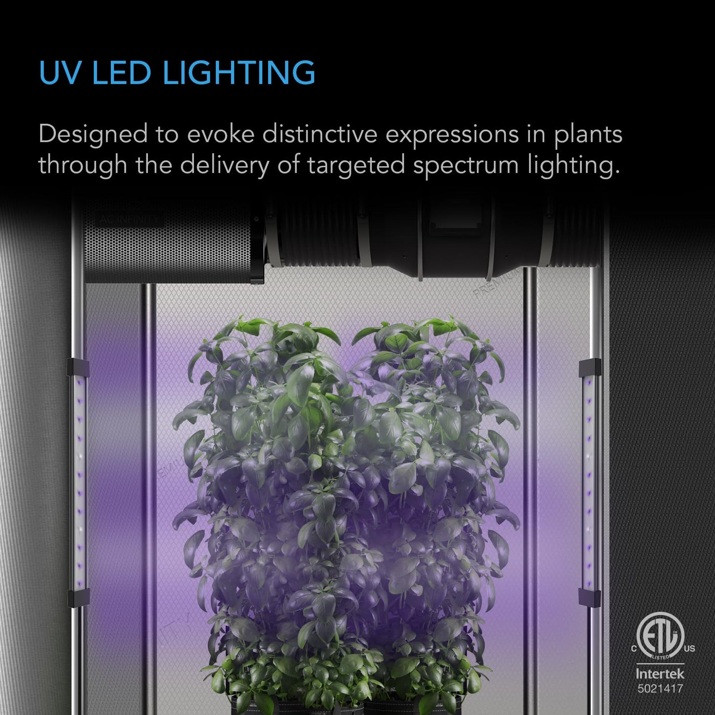 AC Infinity IONBEAM U2, Targeted Spectrum UV LED Grow Light Bars 11?, 2-Bar Lighting Kit with 365nm and 395nm Diodes, Digital Dimming Schedule