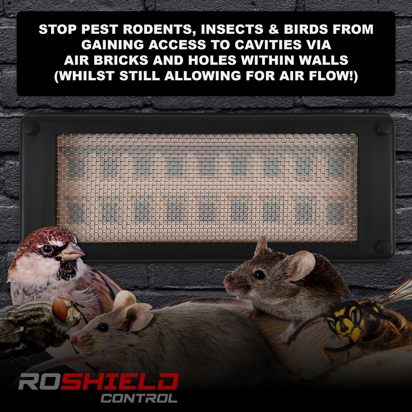 Roshield Pest Proofing Air Brick Mesh Vent Cover | Mouse Insect Rodent Control Prevention x 10 (Dark Grey, Standard)