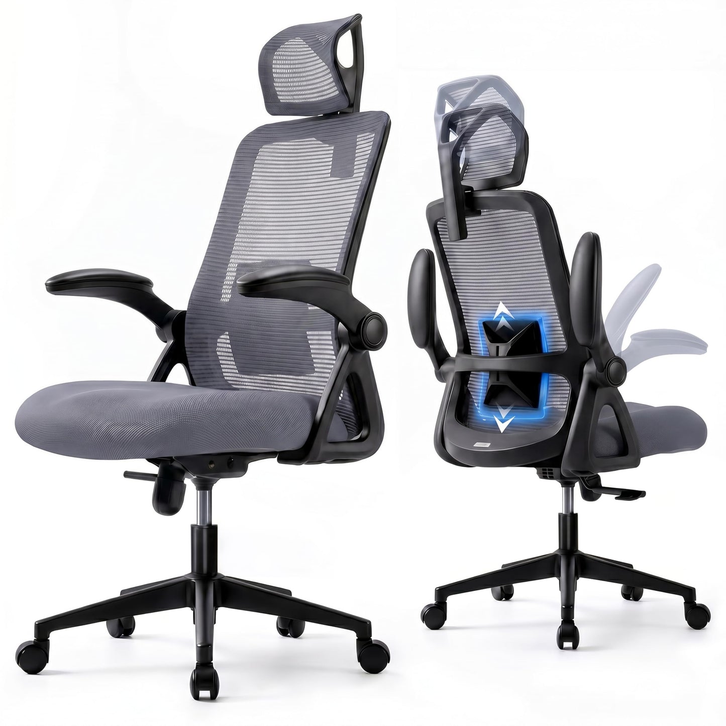 Realm of Thrones Mesh Ergonomic Office Chair, Back Support and Long Hours