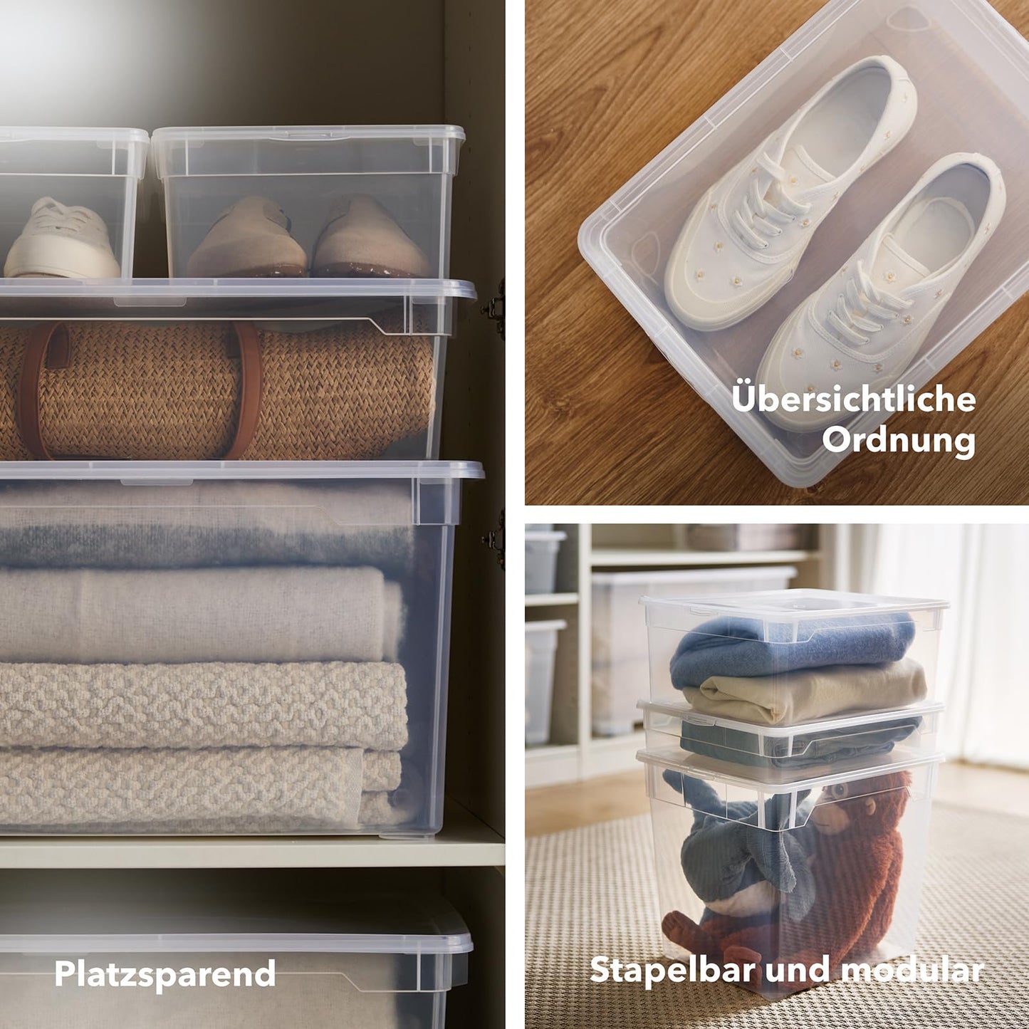 Rotho Clear Box 12x Storage Boxes 5 L with Lid, Stackable 33 x 19 x 11 cm