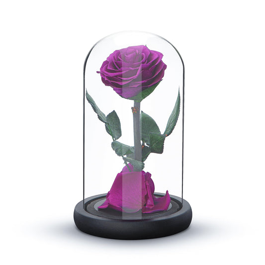Eternal Forever Rose | Fresh Rose Gift | Single Rose Preserved for 5 Years | Handcrafted | Gifts for Women Birthday unique Unusual | Mothers Day,