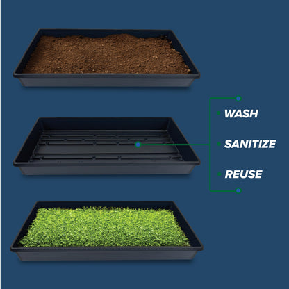 10 Plant Growing Trays No Drain Holes - 20" x 10" - Perfect Garden Seed Starter Grow Trays: for Seedlings, Indoor Gardening, Growing Microgreens