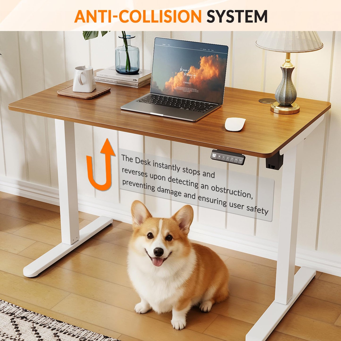 ELEGANT Electric Standing Desk 100x60cm, Height Adjustable Sit Stand Desk