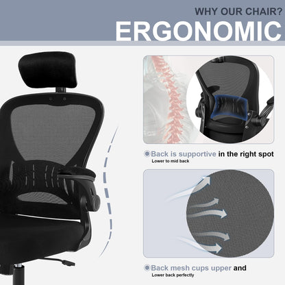 ralex-chair Office Chair, Ergonomic Mesh Adjustable Desk Chair, Black