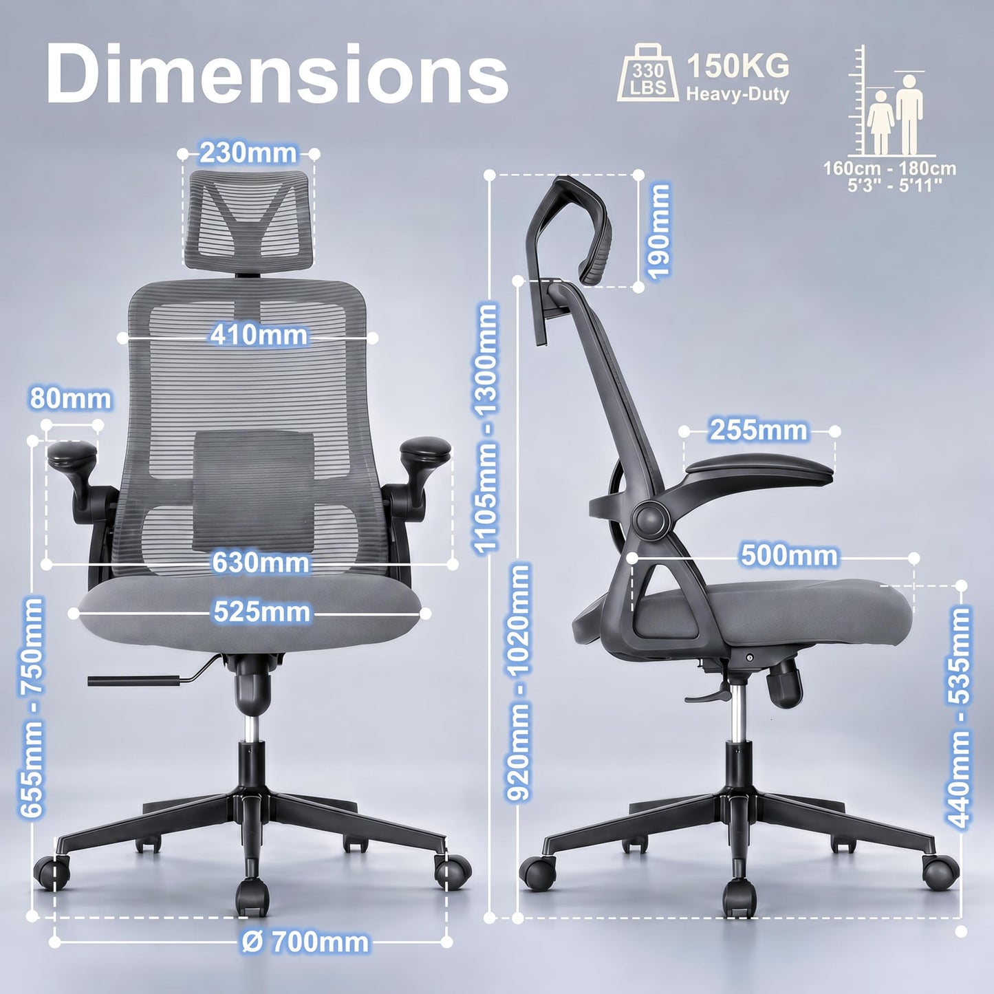 Realm of Thrones Mesh Ergonomic Office Chair, Back Support and Long Hours