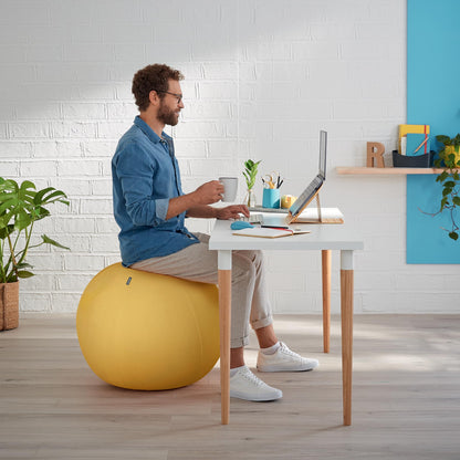 Leitz Active Sitting Ball, Ergonomically Designed Desk Chair Alternative, 65cm Diameter, Includes 100% Fabric Ball Cover, Inner Ball, Hand Air Pump &