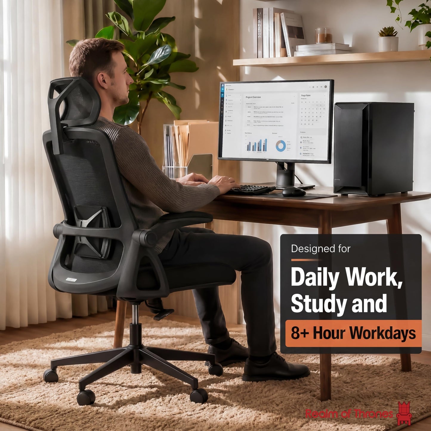 Realm of Thrones Mesh Ergonomic Office Chair, Back Support and Long Hours
