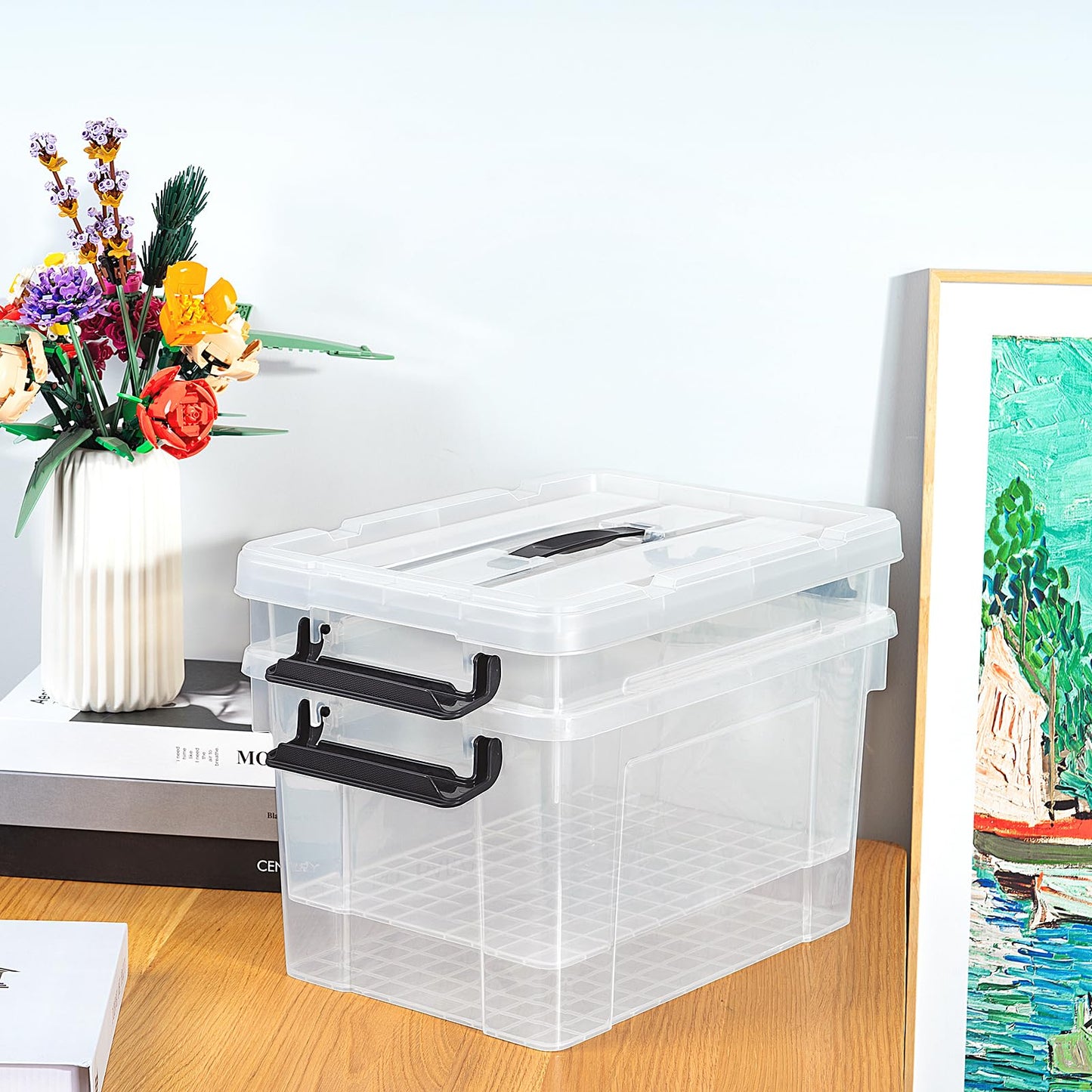 Cetomo 20L*3 Storage Boxes, Carry Plastic Storage Box with Lids, Clear Organizing Container with Handle and Secure Latches