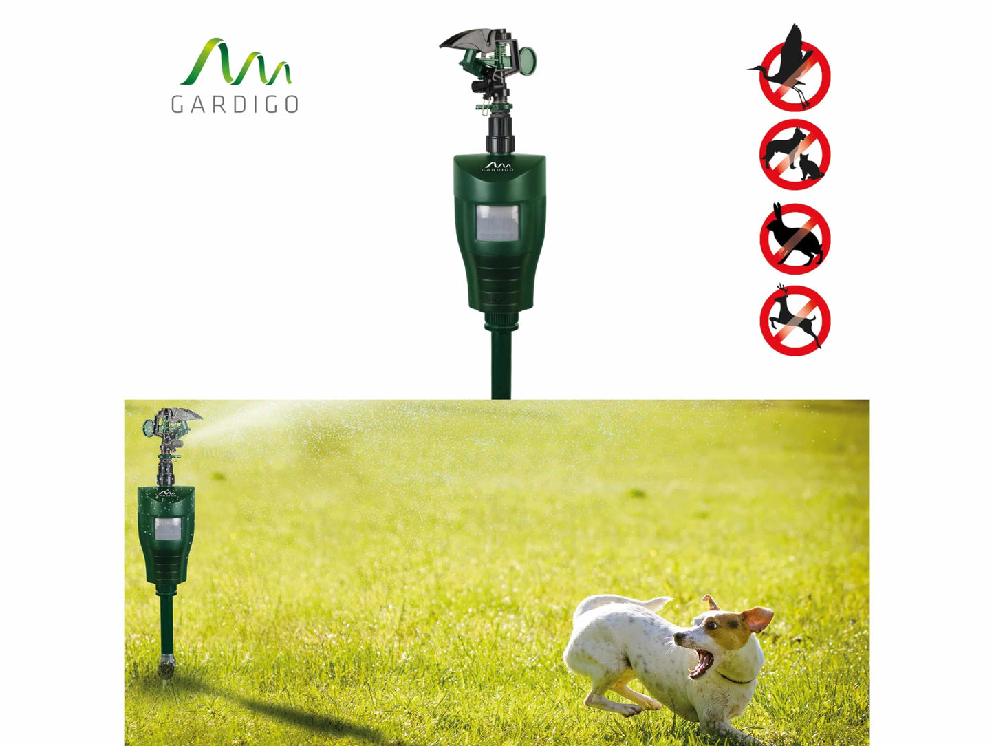 GARDIGO? Water Jet Animal Repellent | Bird Repellent, Heron Repellent, Cat Repellent Garden | Motion Activated Sprinkler | Up to 10m Range | Pigeon
