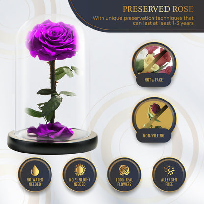 LOVAPPY Preserved Forever Rose in Glass Dome - Beauty and the Beast Romantic Gifts for Her - Eternal Rose Preserved Flowers - Preserved Rose Mother